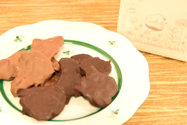 20150203_02.jpg
